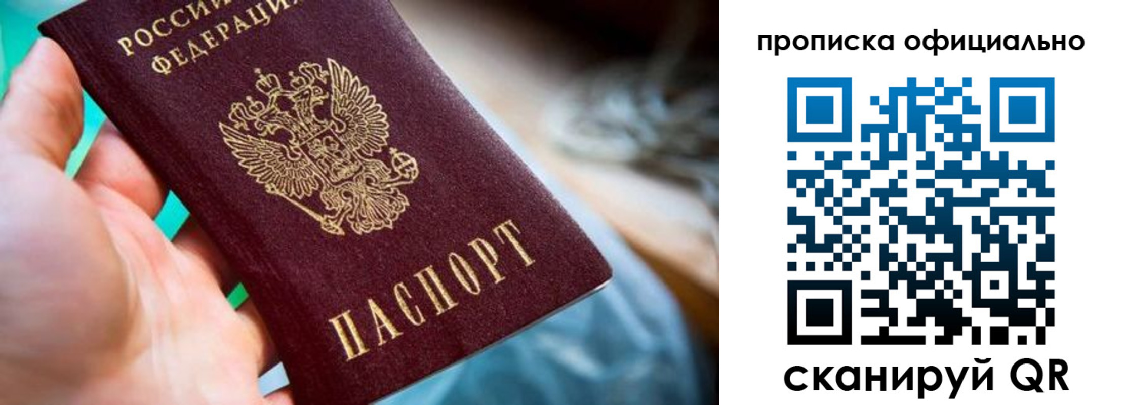 прописка поиск в Соколе